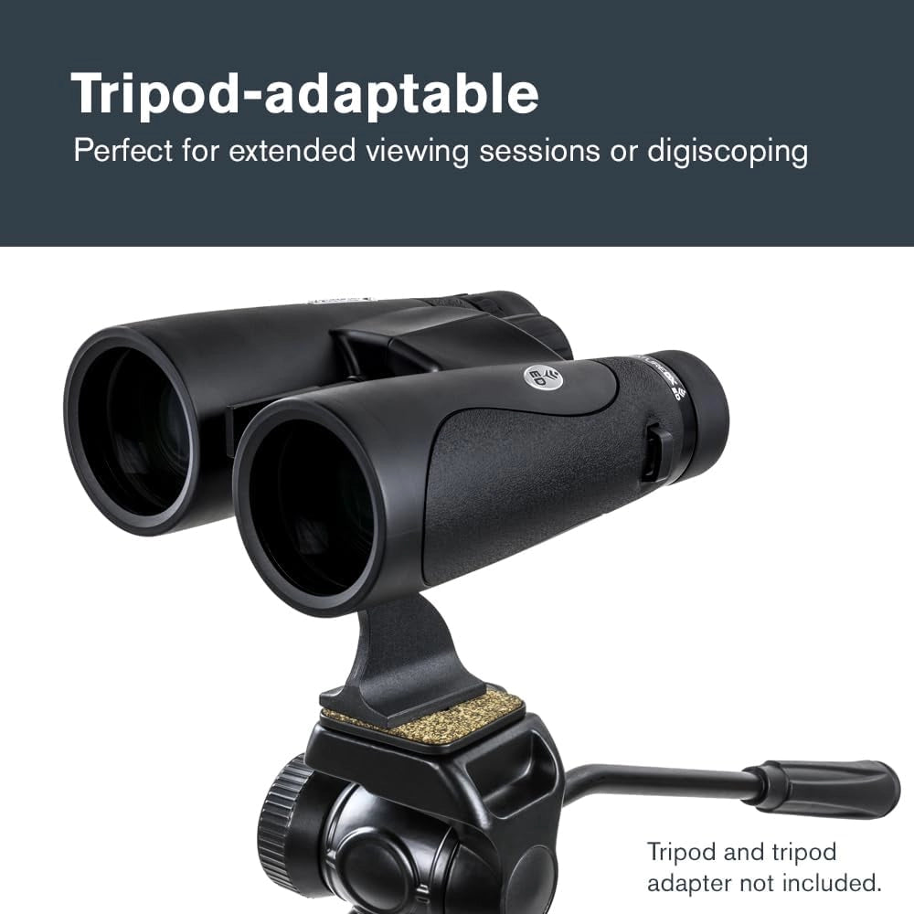 Celestron 72336 Nature DX ED 12x50 binocolo con obiettivo a bassissima dispersione esterni e birdwatching, ottica multistrato con prismi BaK-4, rinforzato in gomma, resistente ad acqua e nebbia