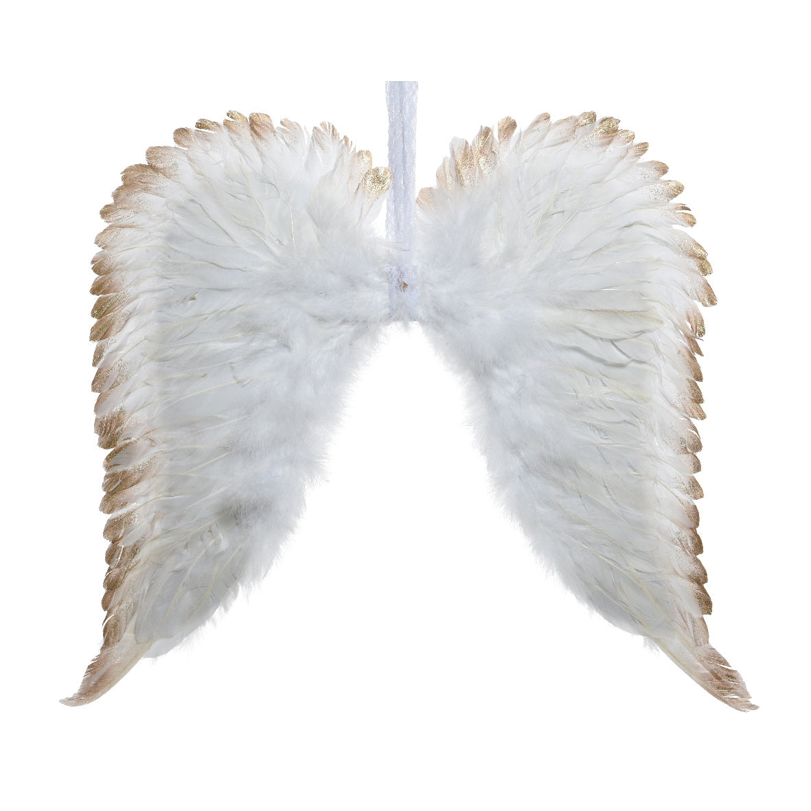 APPENDINO ALI D ANGELO BIANCO