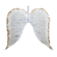 APPENDINO ALI D ANGELO BIANCO