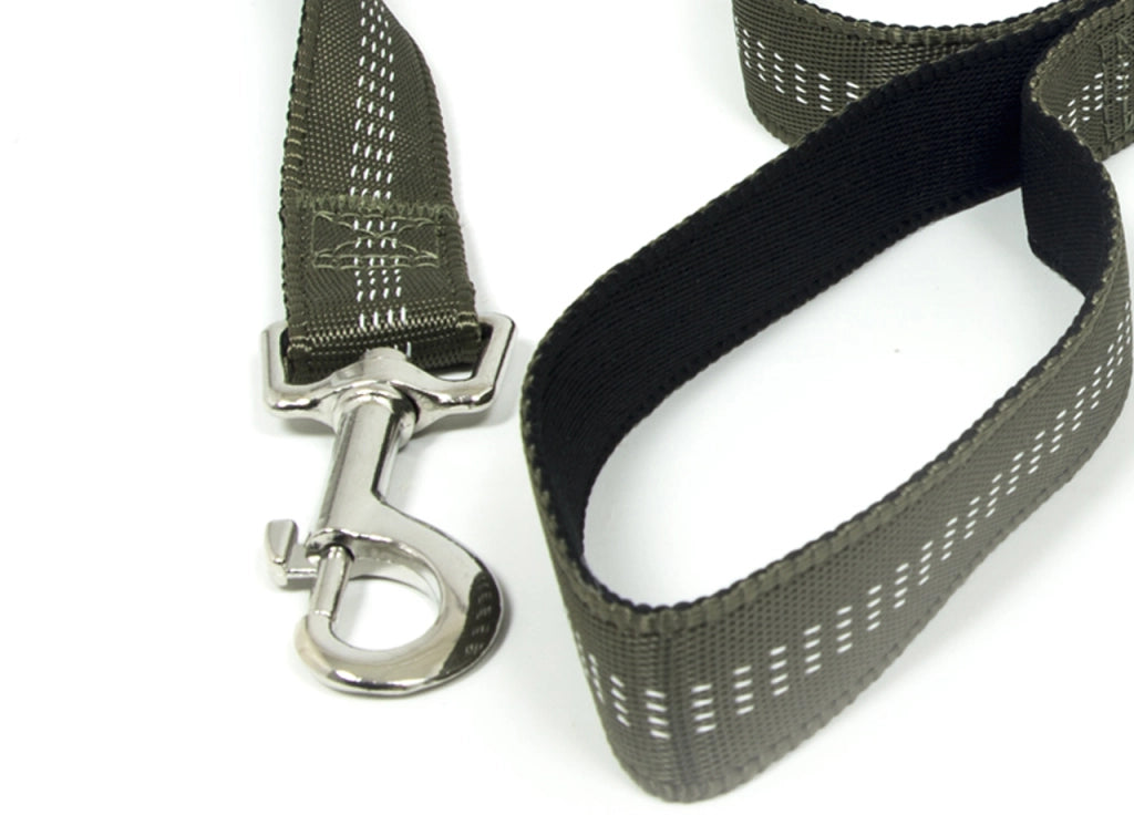 Guinzaglio Con Moschettone Per Animali Domestici Modello Color Doggy 120cm - 120cm - Verdone