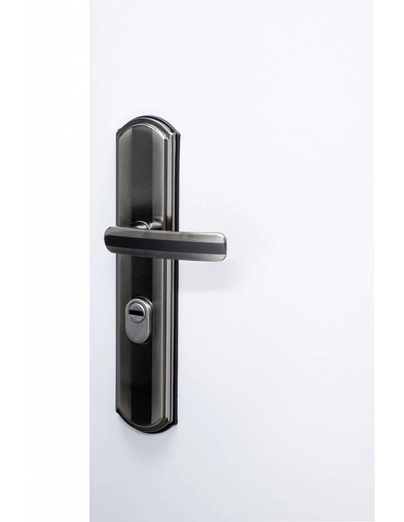 Set maniglia per ingresso, interasse 68 mm, defender integrato, alluminio brunito, destro – THIRARD