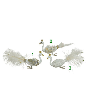 APPENDINO UCCELLO CON CLIP