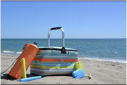 Borsa da picnic blu da 20 litri
