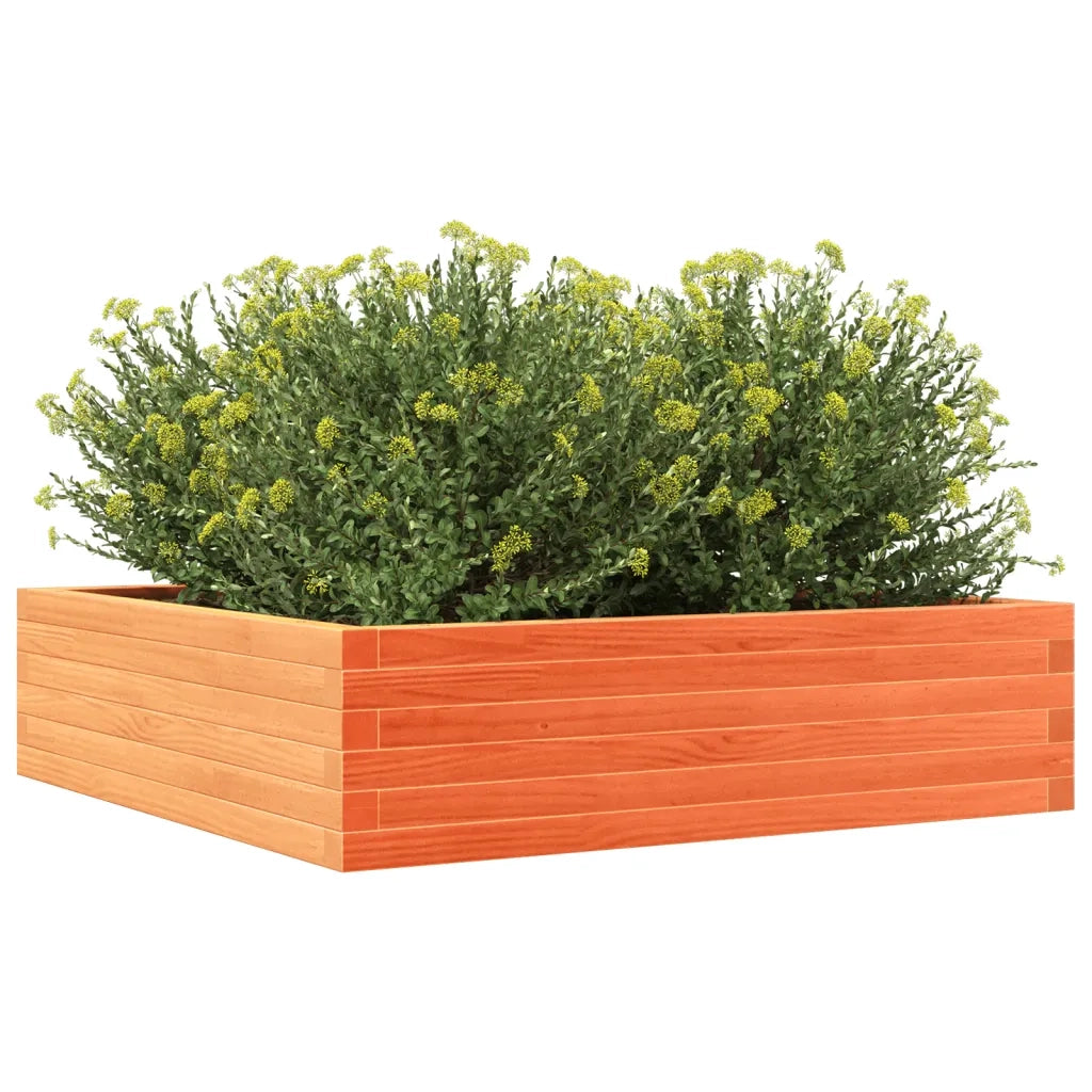 Fioriera Giardino Marrone Cera 90x90x23 cm Legno Massello Pino 847205