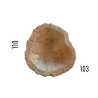 Laghetto Artificiale Roccia a Bordo Largo 110x103x36 cm 190 Litri