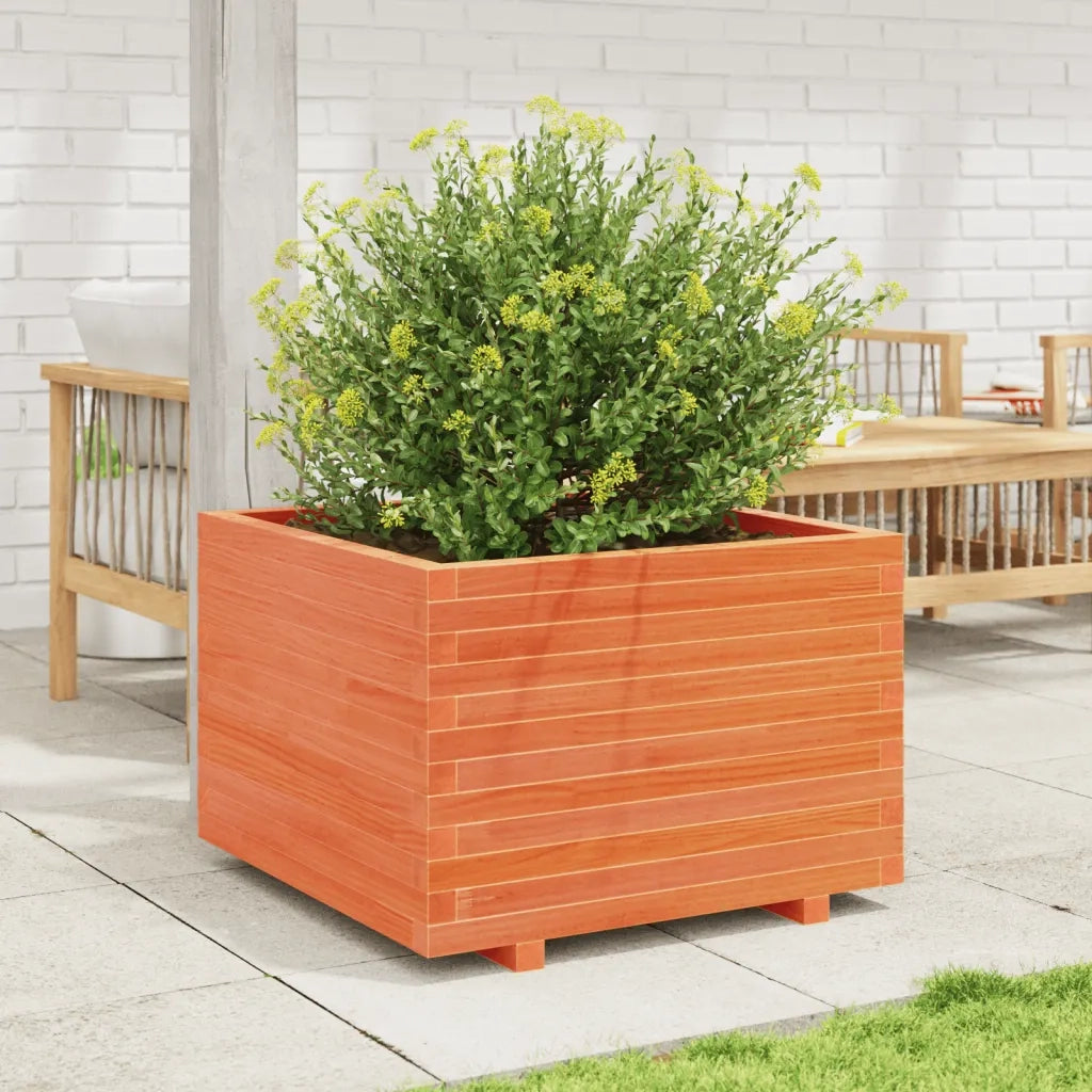 Fioriera | Cassetta per fiori | Vaso Giardino Marrone Cera 70x70x49,5cm Legno Massello Pino