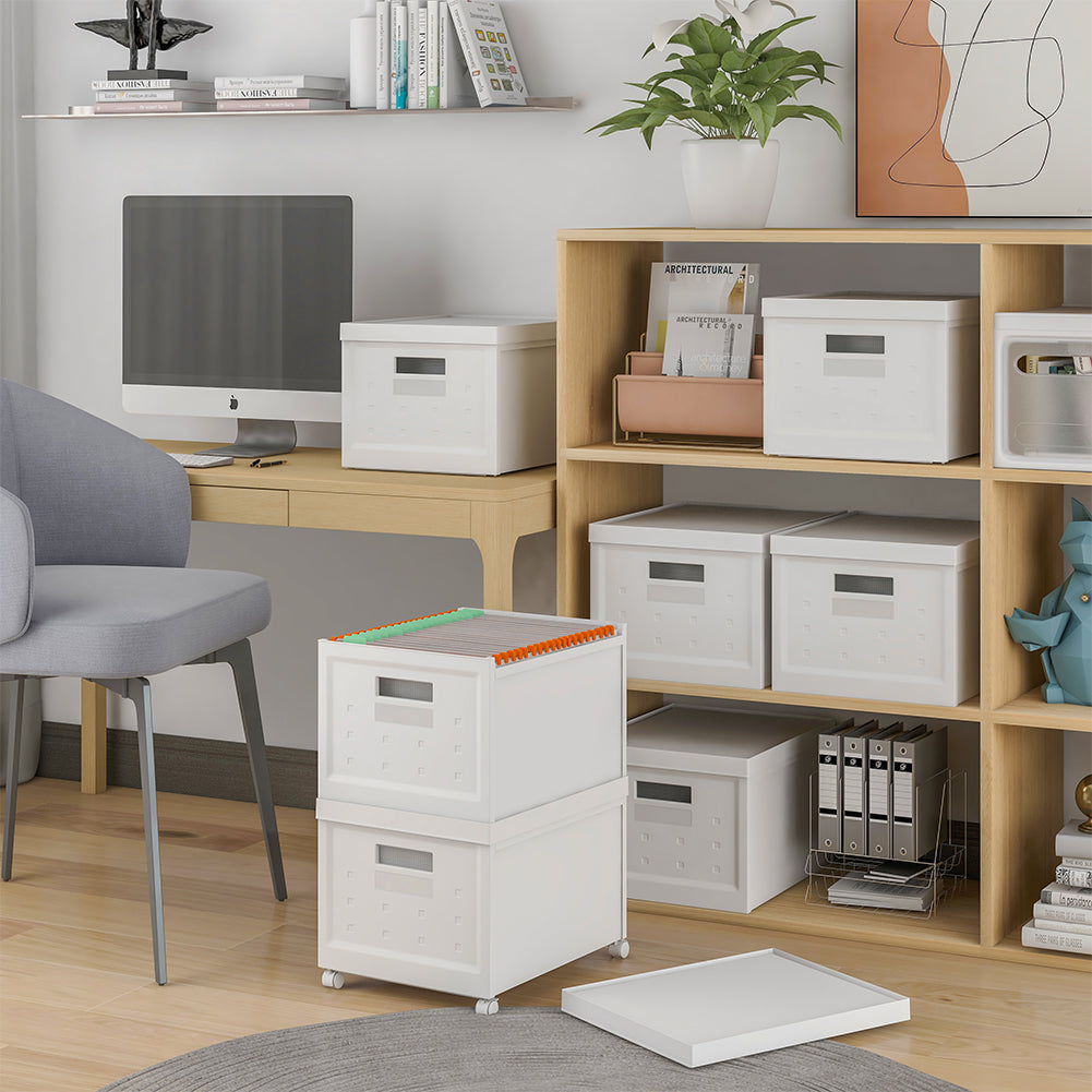 Schedario Organizer Contenitore con Ruote e 40 Cartelline Archivio Portadocumenti