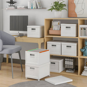 Schedario Organizer Contenitore con Ruote e 40 Cartelline Archivio Portadocumenti