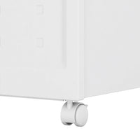 Schedario Organizer Contenitore con Ruote e 40 Cartelline Archivio Portadocumenti