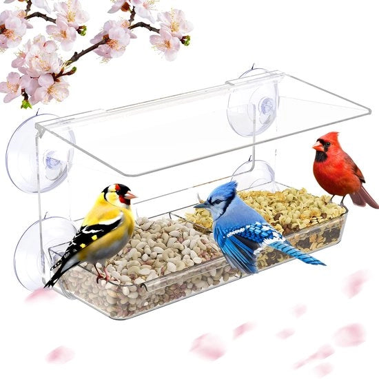 Contenitore alimentatore per finestra 26 x 14 x 5 cm, Casa per uccelli trasparente per vetri finestra per uccelli selvatici, Regalo unico, Contenitore alimentatore per finestra, Casa per uccelli