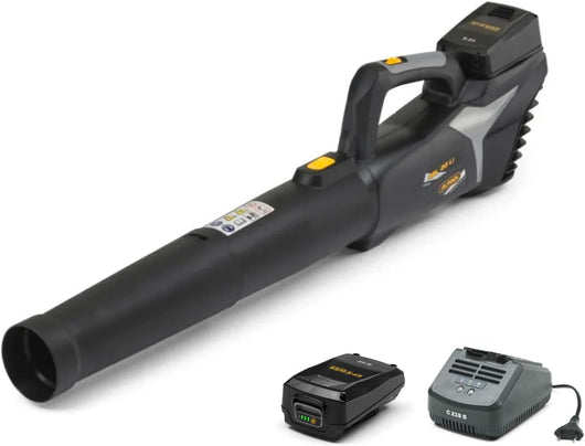 SOFFIATORE ALPINA 20V ABL 20 LI KIT