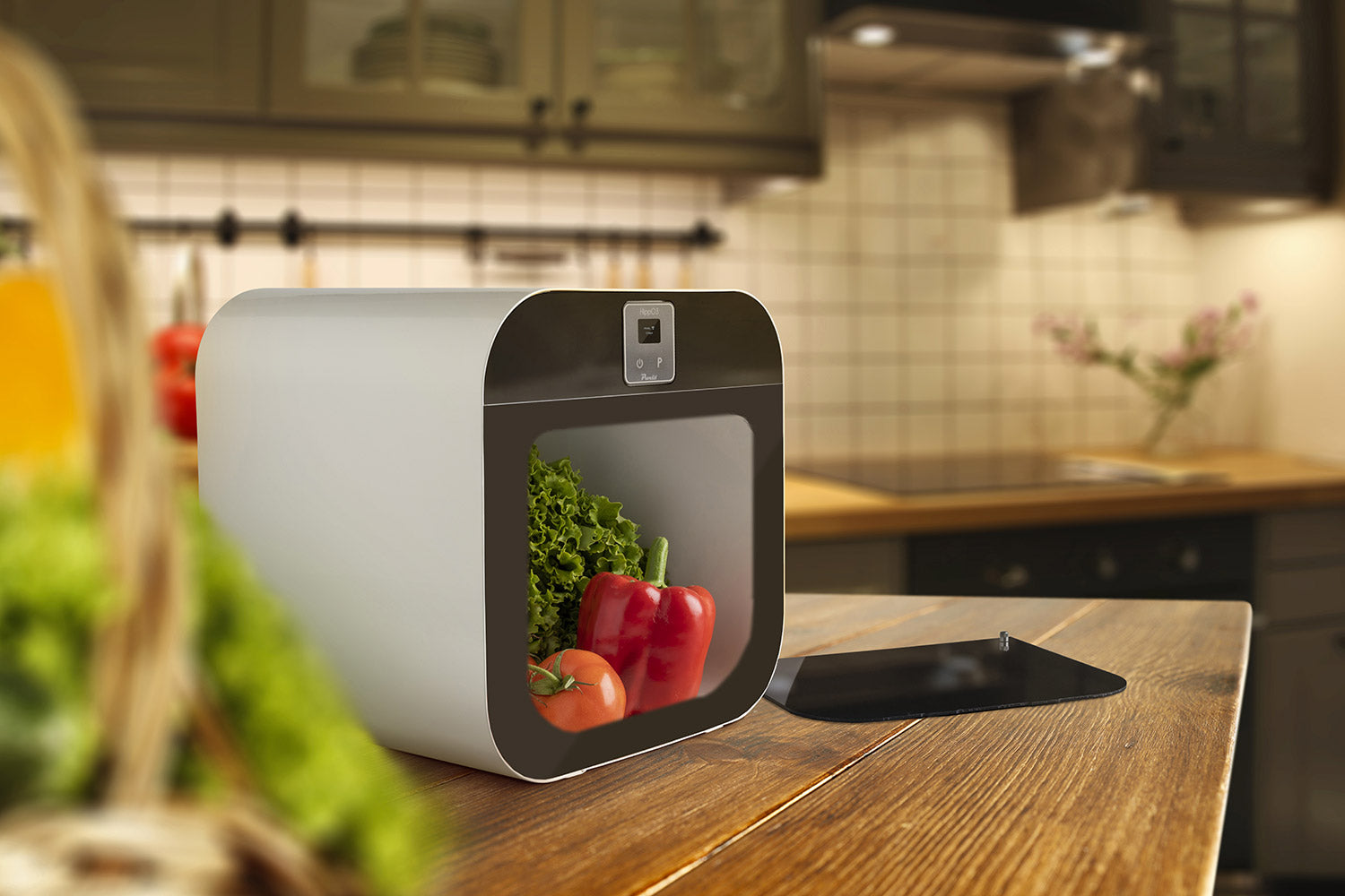 Sanificatore ad Ozono 1500mg per Alimenti e Oggetti Proelit HippO3 Cubo Nero