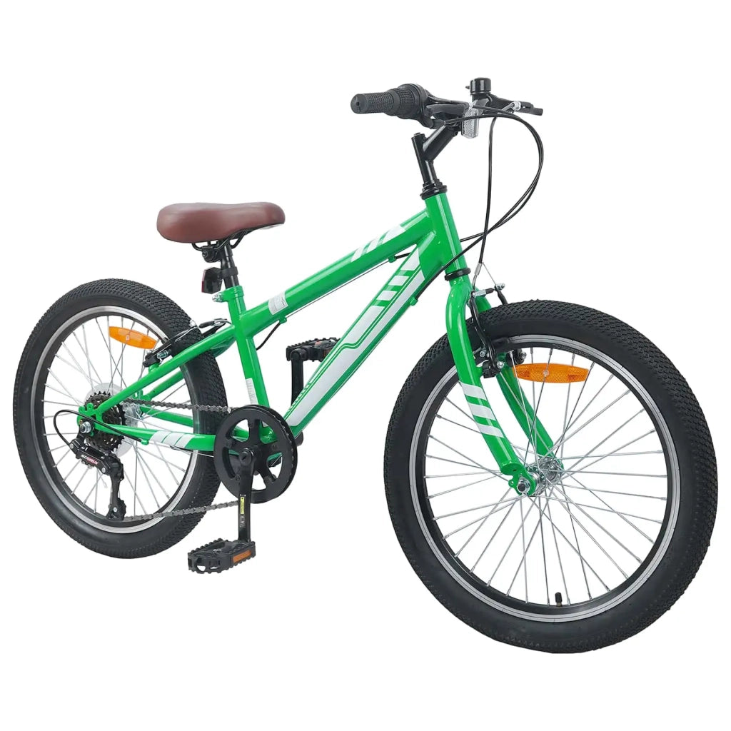 Mountain Bike 20 Pollici 6-Speed per bambini di 5-8 anni Verde