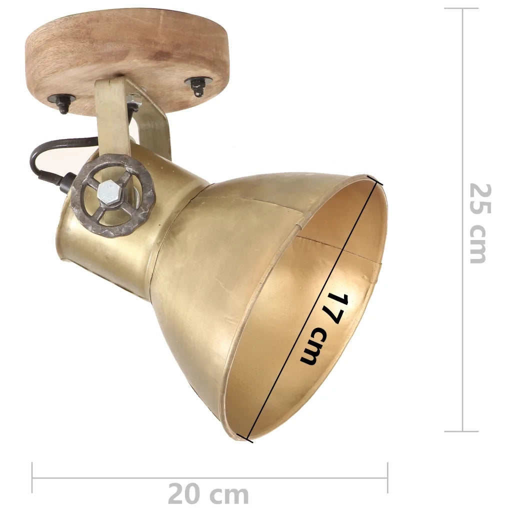 Lampade da Parete/Soffitto 2 pz Industriale Ottone 20x25 cm E27 CFW6361922