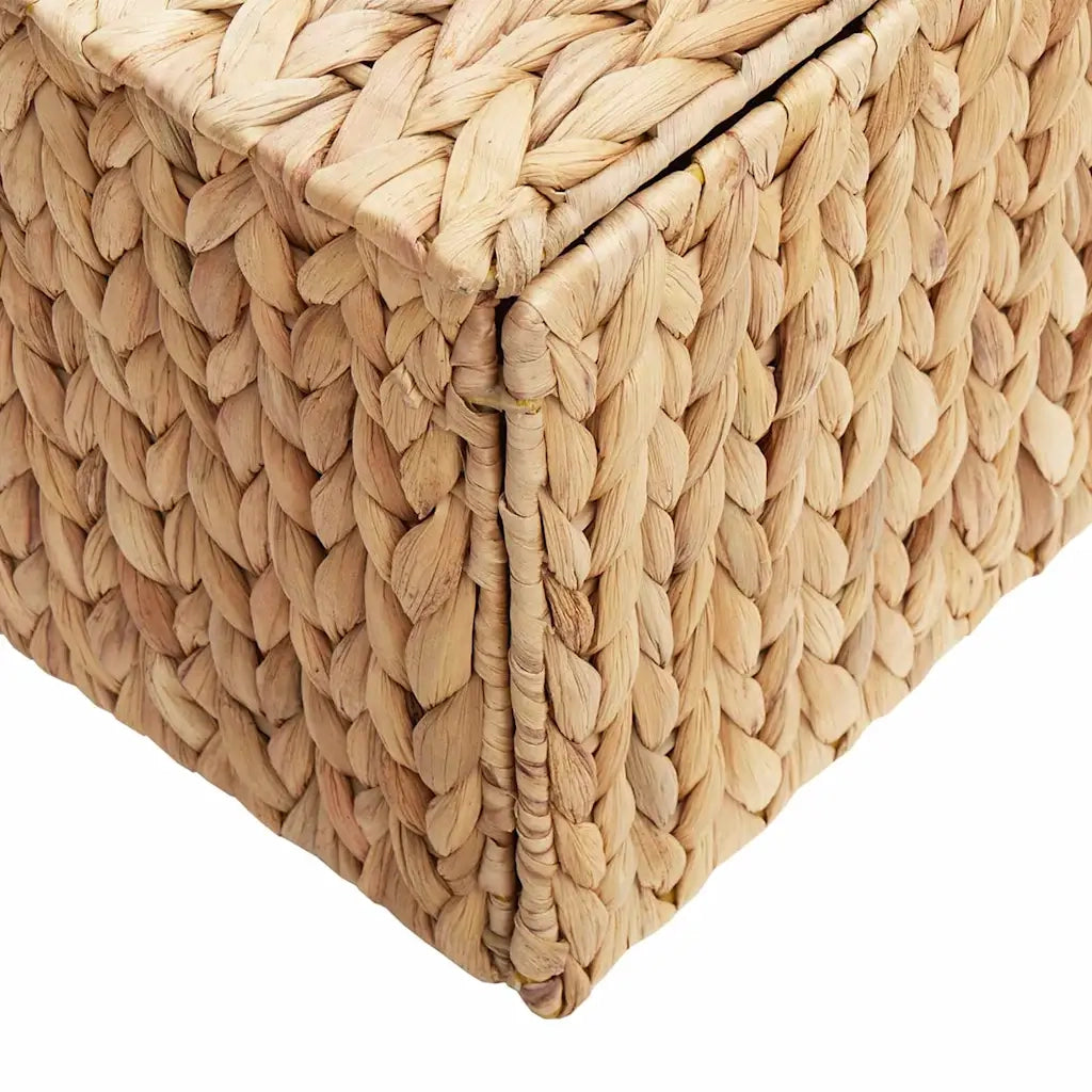 Scatola di Stoccaggio Naturale 60 x 38 x 20 cm Giacinto d'acqua 42020145