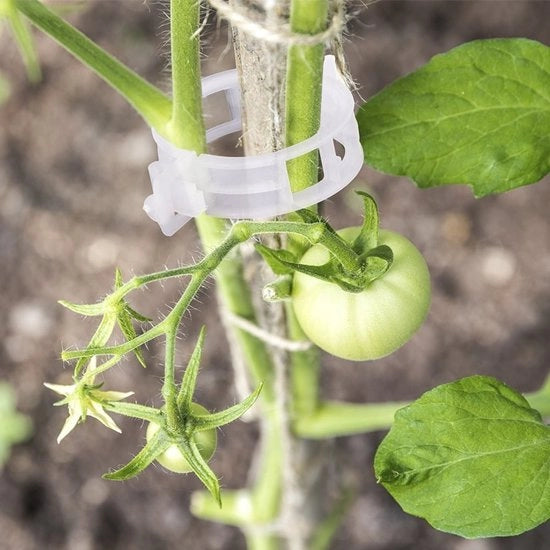 Supporti per piante - Clip per piante - Resistenti al tempo e riutilizzabili - Bianchi - Clip per vite - Adatti per pomodori e verdure - 100 pezzi
