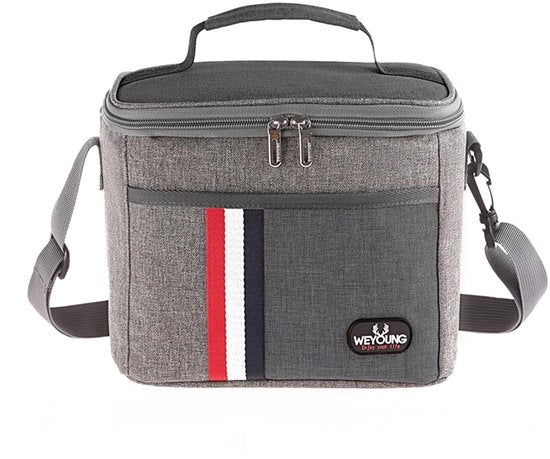 Tas a Isolamento Termico, Picnic con Cinturino a Spalla, Impermeabile, Ripiegabile per Campeggio, Scuola, Lavoro, Grigio
