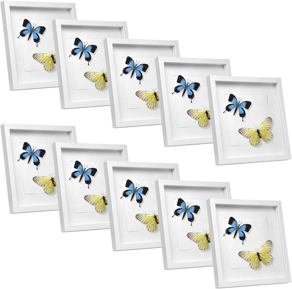 Set di 10 Cornice 3D per Foto da Muro Cornici 40x40cm per Oggetti Fino a 1,5cm, Cornici Fotografiche Multiple da Tavolo Portafoto Sospeso in Legno Passepartout Incluso, Bianco