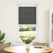Tenda Plissettata | Tenda pliss¨¨ Nera 55x100 cm Larghezza Tessuto 54,4 cm