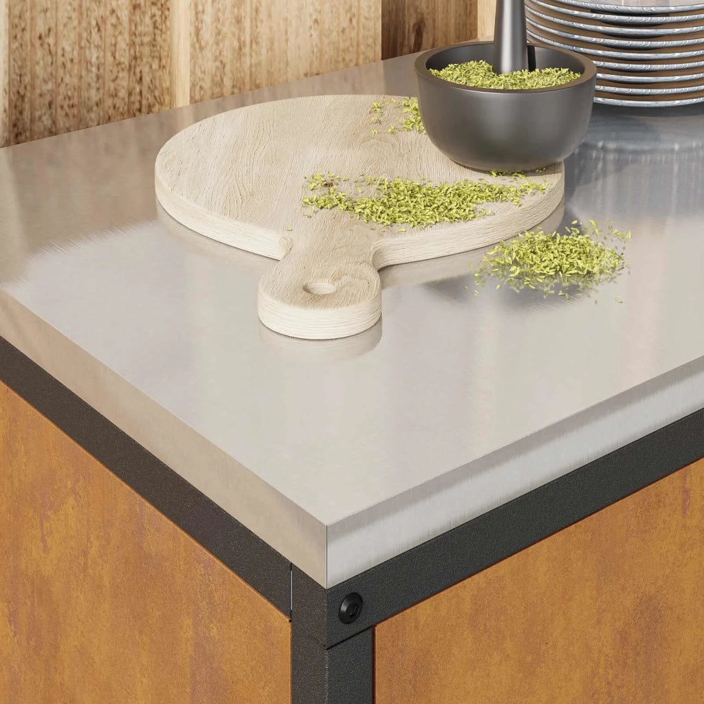 Stoccaggio in cucina con porta Ruggine 60 x 50 x 92 cm Acciaio
