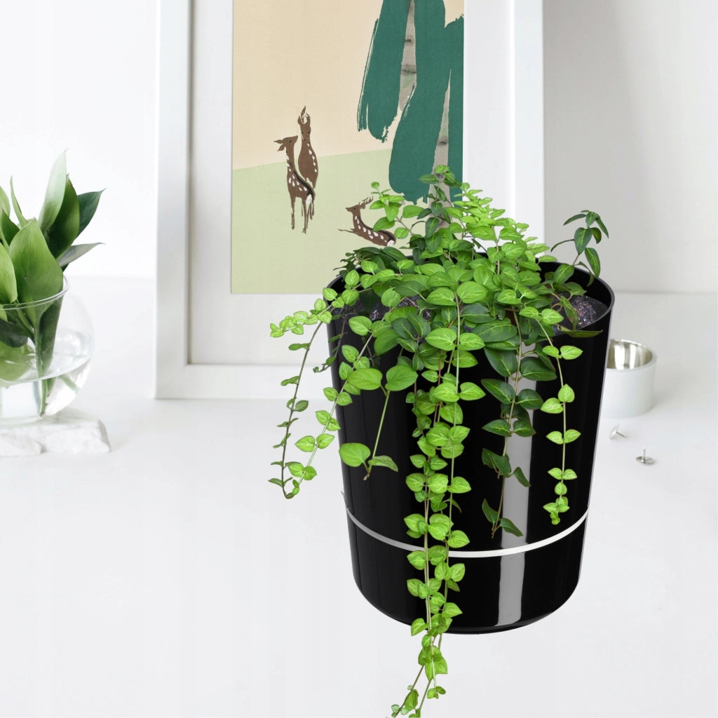 Vaso da fiori KADAX in due pezzi con supporto, nero, 25 cm