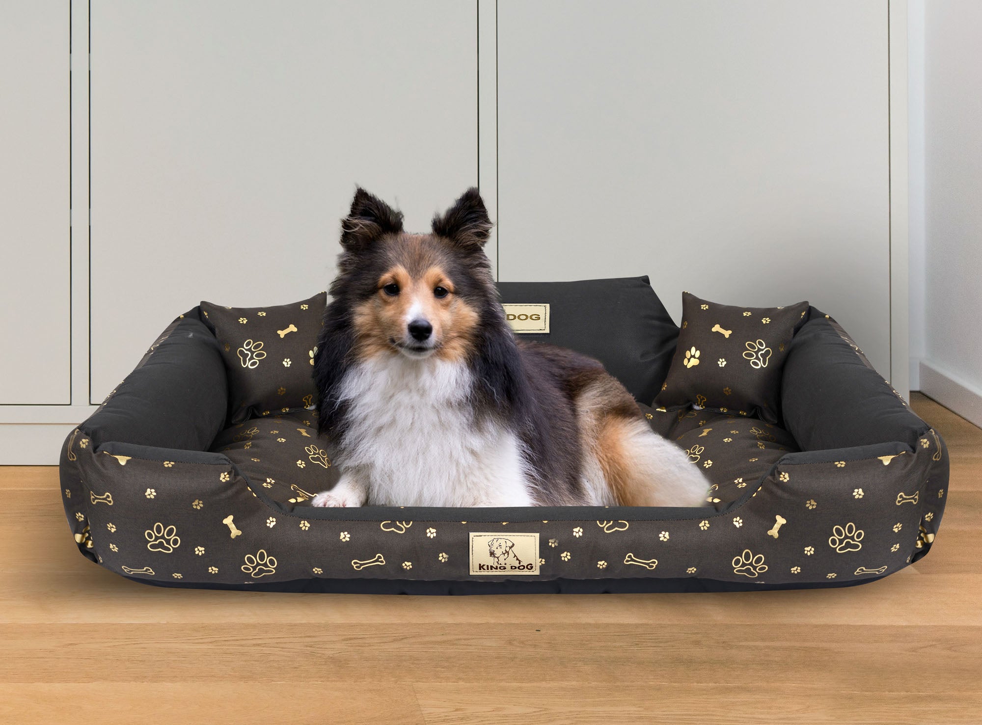 AIO FACTORY 100x75 cm KINGDOG Cuccia per cani impermeabile personalizzabile Golden Bones