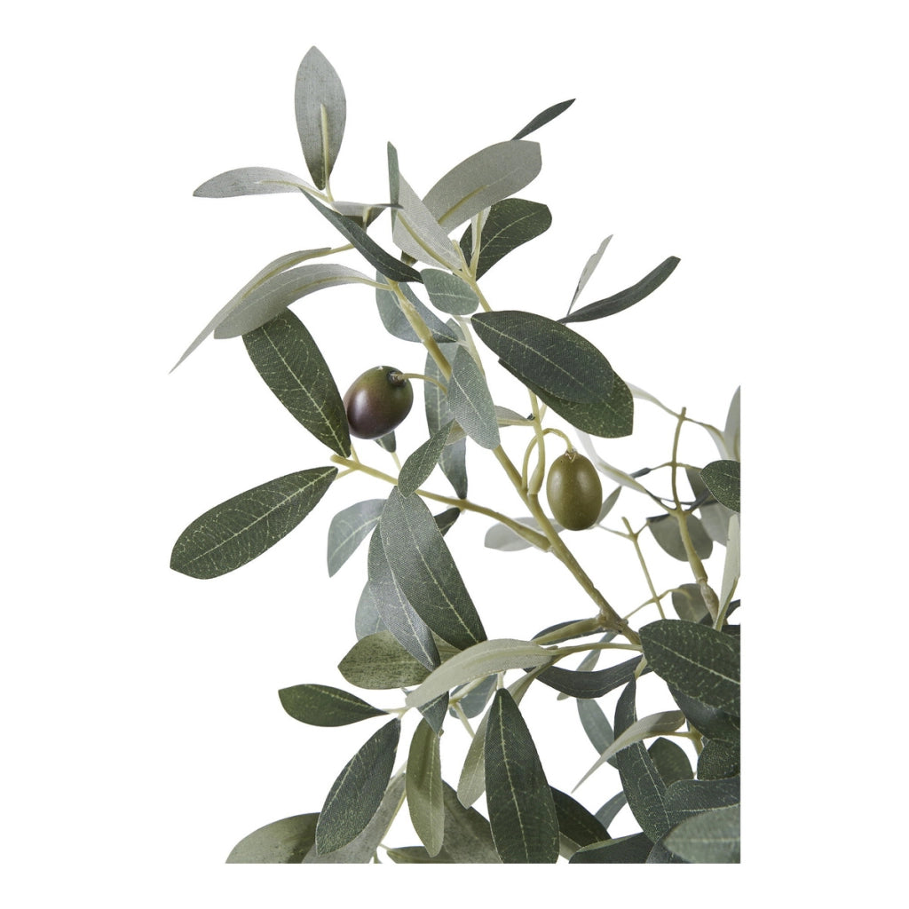 Pianta Artificiale Ulivo, Verde, Plastica PE, 36,5x22,5x61 cm