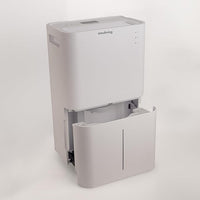 Innoliving Deumidificatore 25L, Modalità Asciugatura, Gas R290 Eco-Friendly, Timer 24h, Digitale, Capiente, Sbrina Autom, Serbatoio 4 Litri
