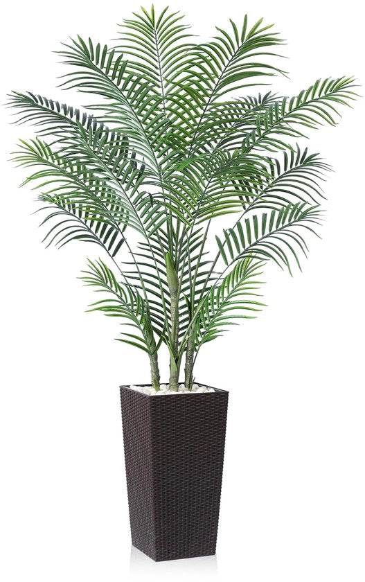 Palmiera da 180 cm – Palmiera tropicale UV-resistente per decorazione interna ed esterna – Grande palmiera con vaso cilindrico in legno espresso scuro