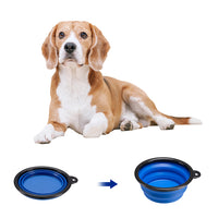 Trasportino per Animali Domestici Taglia M Gabbia Pieghevole Cani e Gatti Blu