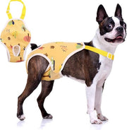 Luiers per Cani - Pantaloncini per Cani - Mantenimento dell'igiene - Luiere Modulabili - Misura L - Giallo