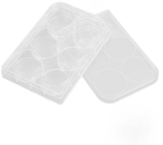 Piattaforma di coltura cellulare 10 pezzi - Polistirene - Piattaforma di tessuto - Transparente - Densità uniforme - Base piatta - Incluso coperchio - Piattaforma di coltura cellulare