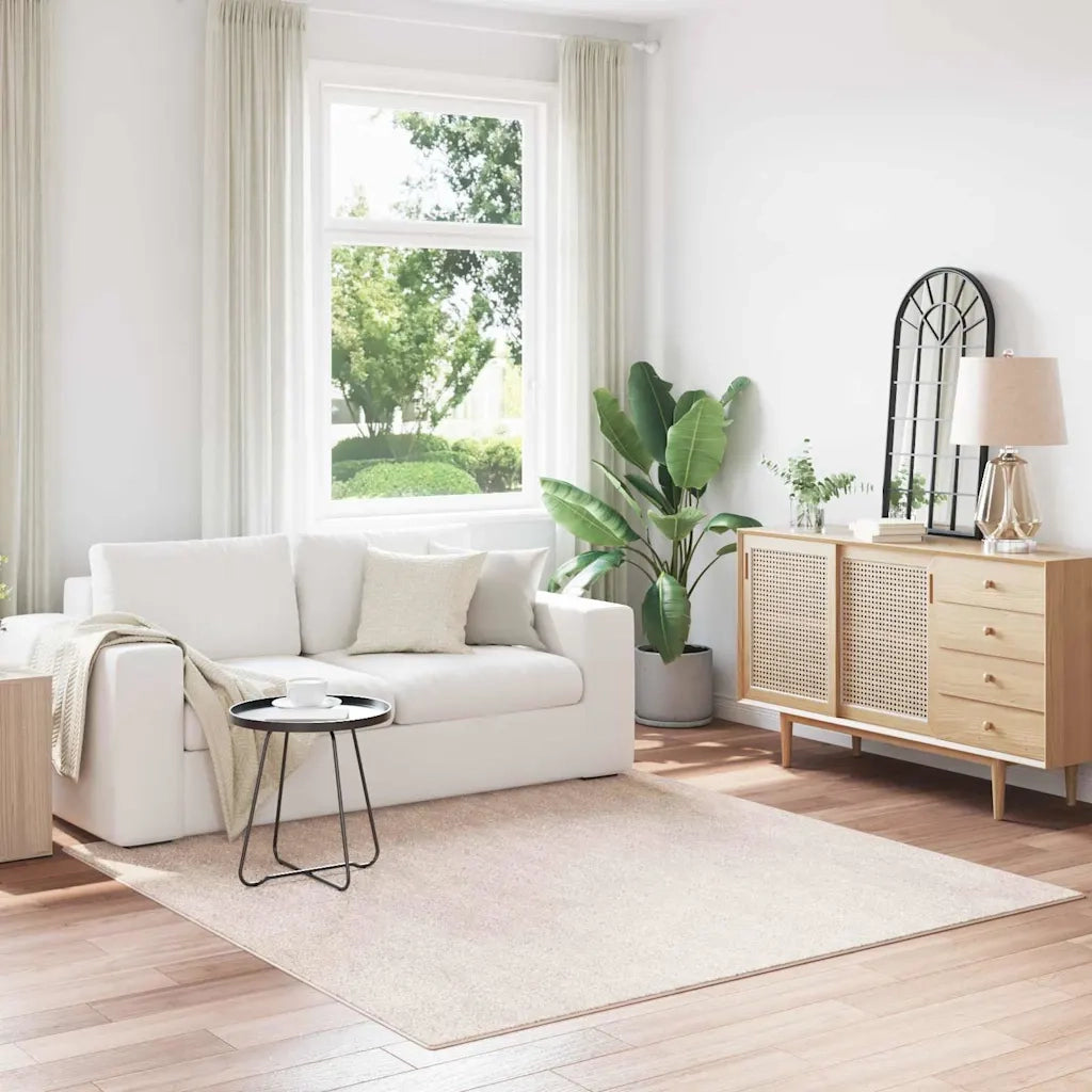 Tappeto Shaggy Antiscivolo Crema 200 x 200 cm PP 4019785