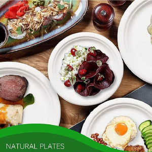 Piatti Monouso Fondo 100pz 21cm 100% Biodegradabili Bianco Casa Bar Ristorante