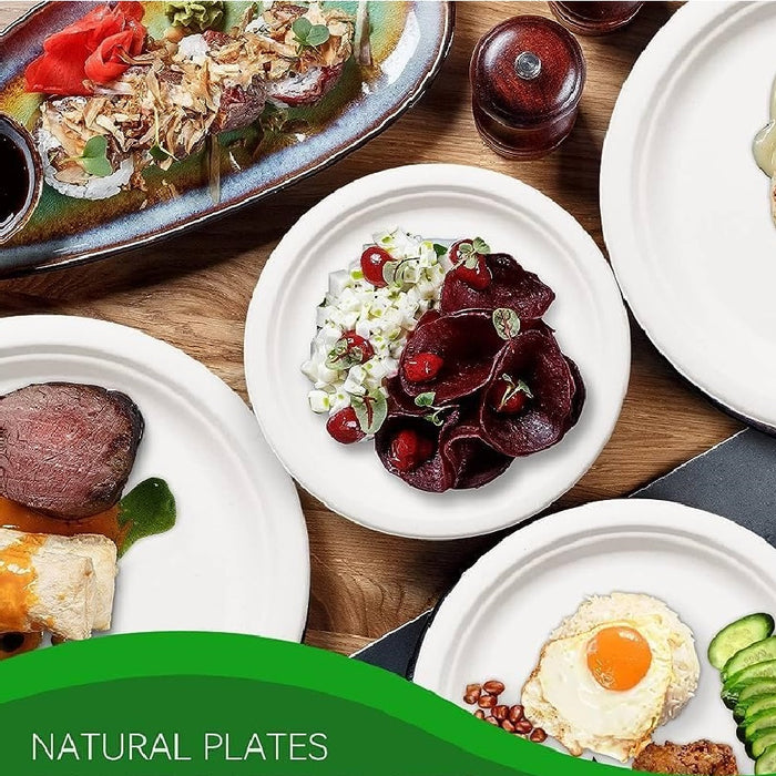 Piatti Monouso Fondo 100pz 21cm 100% Biodegradabili Bianco Casa Bar Ristorante