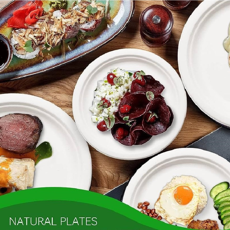 Piatti Monouso Fondo 100pz 21cm 100% Biodegradabili Bianco Casa Bar Ristorante