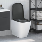 Sedile del WC a rilascio rapido con chiusura morbida in Duroplast Antracite