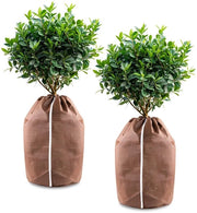 Vorsetto per piante 50 x 80 cm, copritorta termiche per protezione invernale, copritorta per piante in vaso, copritorta invernale con corda di tiraggio (2 pezzi)