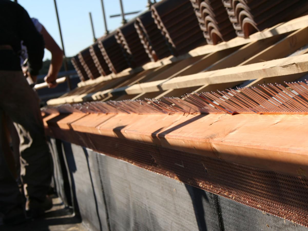 Rimedi Coperture Dissuasore Pettine Parapassero 50 Pezzi Spessore 6/10 Altezza 110 mm, Parapasseri 1 m