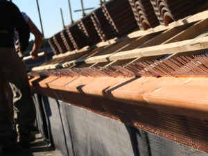 Rimedi Coperture Dissuasore Pettine Parapassero 50 Pezzi Spessore 6/10 Altezza 110 mm, Parapasseri 1 m