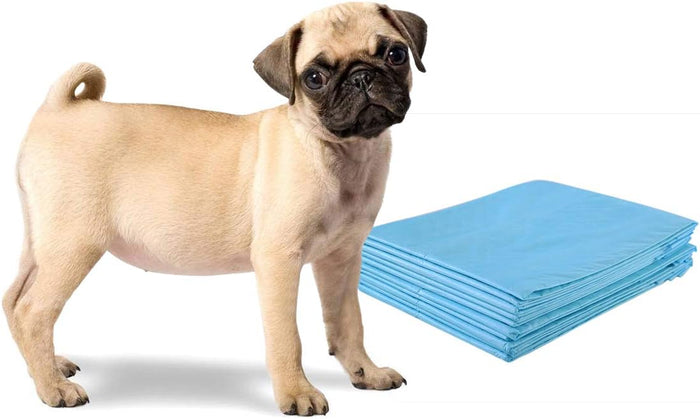 Tappetini Igienici Grandi per Animali, Traverse Animali a 5 Strati, Assorbe Bene Senza Perdite (60 x 60 cm 100 Pezzi)