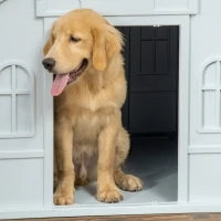 Cuccia per Cani di Taglia Media e Grande max 30kg in PP Impermeabile, 84.2x98.2x82 cm, Blu