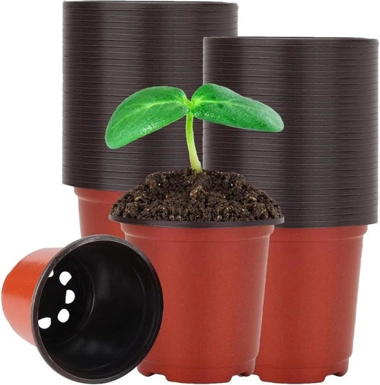 120 piccoli vasi di plastica per innesto 10 cm per piante grasse piantine steli trasferimento