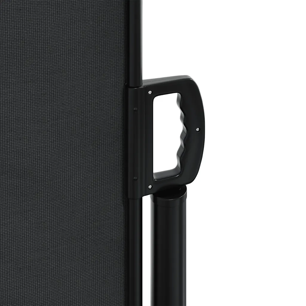 Tenda da Sole Laterale Retrattile Nera 160x300 cm 4004309