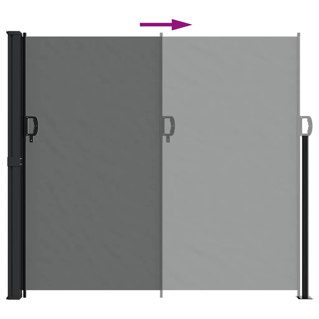 Tenda da sole laterale retrattile antracite 180x300 cm 4004353