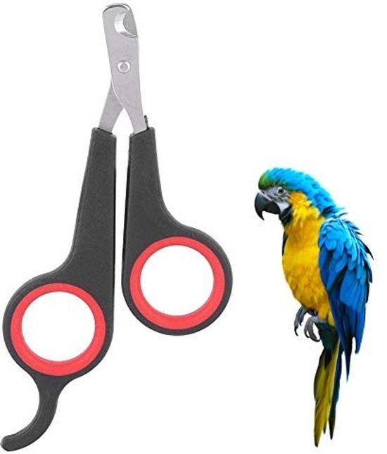 Strumento per il taglio unghie per animali domestici - Tagliaunghie per cani - Trimmer per zoccoli per uccelli - Attrezzo professionale - Presa antiscivolo - Garanzia di qualità