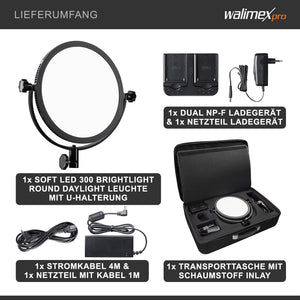 Soft LED 300 Lampada rotonda fotografica, Pannello LED piatto per fotografia 30 W, Luce per video e foto con staffa a U, temperatura colore 5600 K