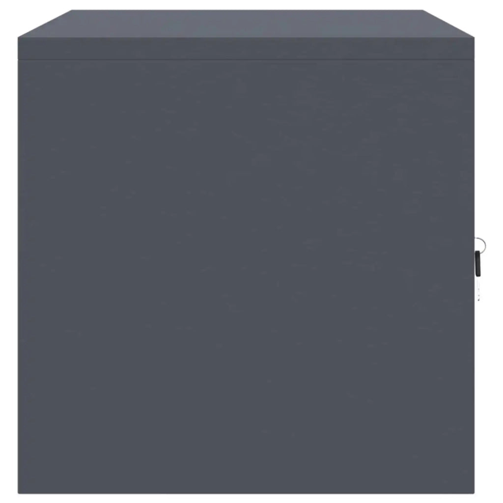Armadio Antracite 80 x 40 x 40 cm Acciaio 891672