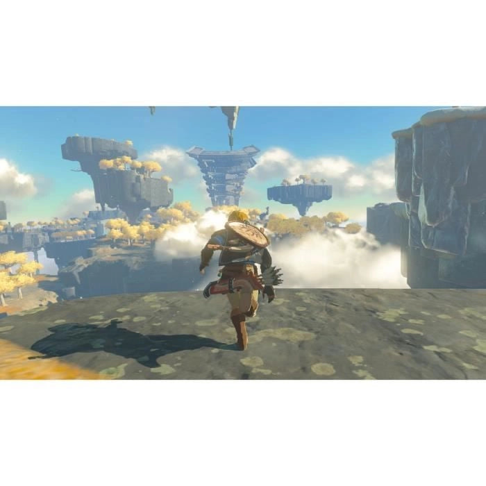 The Legend of Zelda: Tears of the Kingdom - Standard Edition  Nintendo Switch Game