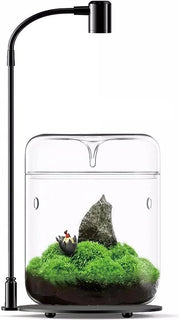 Terrario per piante - paesaggio miniaturizzato - vaso decorativo - 1 pezzo - trasparente - vetro - 12 x 17,5 cm
